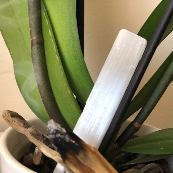 Raw selenite Stick Wands, Energy - Picture 3 of 6